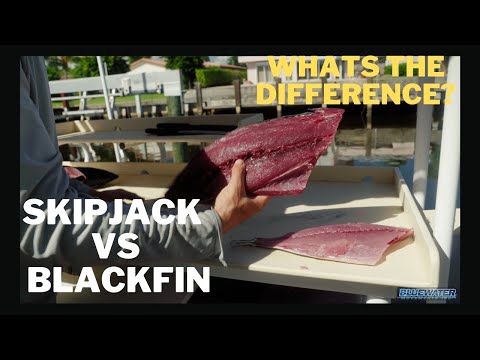 Video: Hvorfor er skipjack-tunfisk billigere?