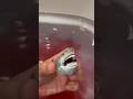 Who knew blood  sea water could smell this good jaws shark bath bathbomb japan