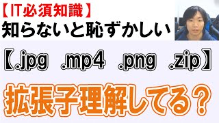拡張子とは何かを解説【PC必須知識】 拡張子とは何かを解説【PC必須知識】
