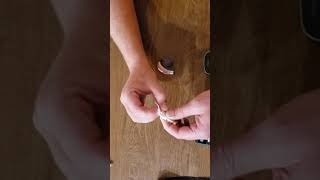 Cochlear Implant
