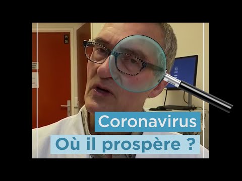 Coronavirus: quelle durée de vie sur les surfaces ? Professeur Lucet #Pour une Meilleure santé Coronavirus: quelle durée de vie sur les surfaces ? Professeur Lucet #Pour une Meilleure santé