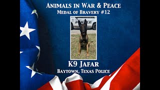 K9 Jafar  Animals in War & Peace Medal of Bravery #12