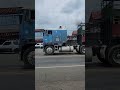 cattle liner costa rica style ! #costarica #cattleliner #freightliner