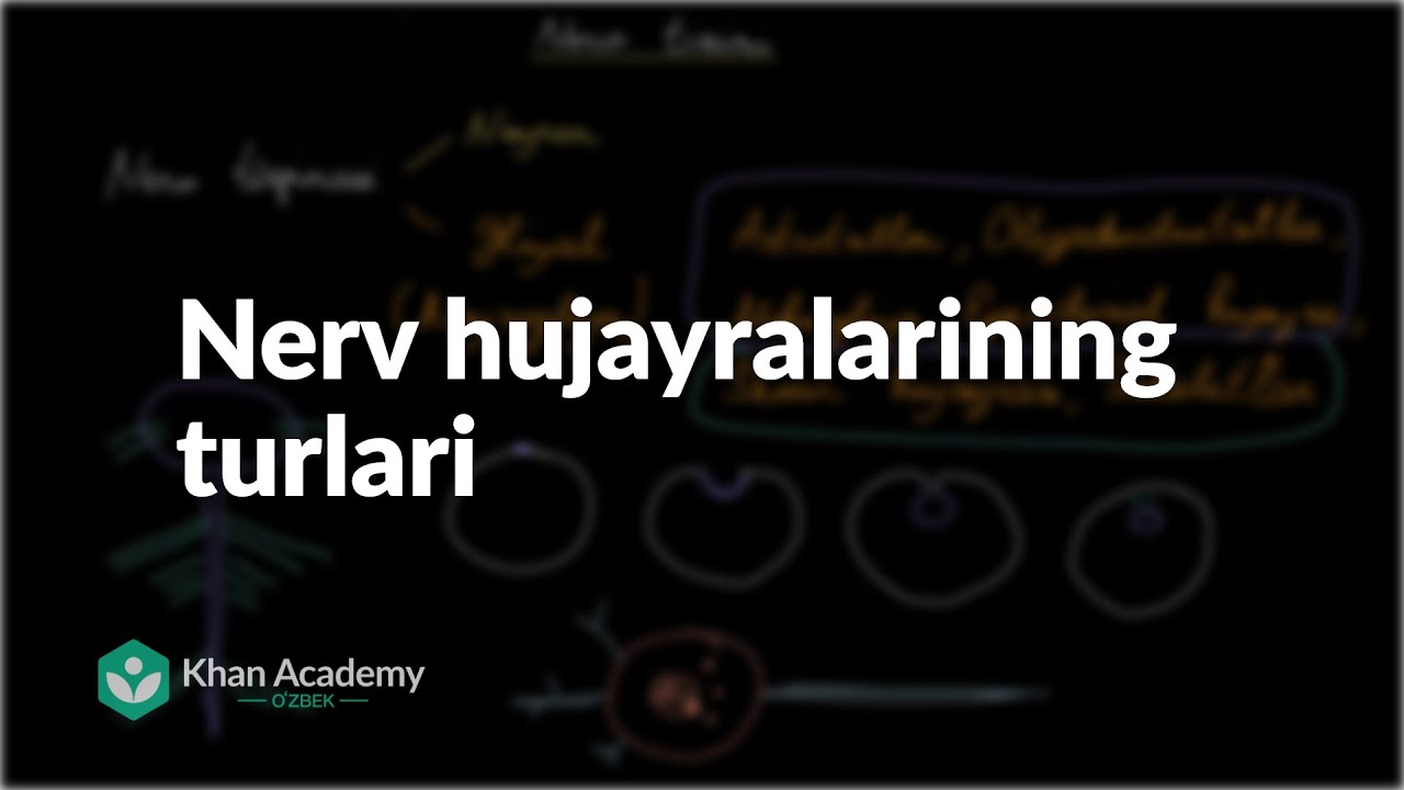 Nerv hujayralarining turlari | Nerv tizimi | Tibbiyot