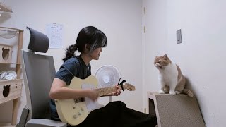 좋아하는 고양이 가둬놓고 좋아하는 노래 불러주기