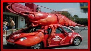 The Most Creative Car Owners In The World  👍