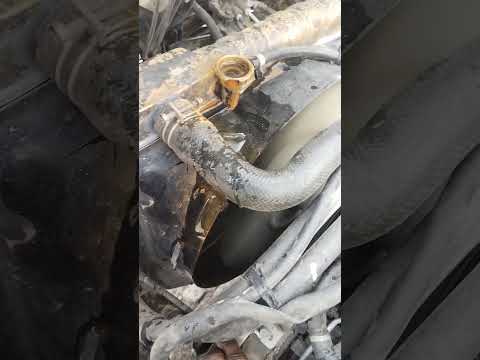 how to check engine head gasket Isuzu nkr truck shot video viral