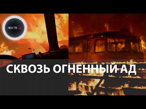 Пожарные в огненной ловушке | Машина МЧС прорвалась через лесные пожары в Рязанской области
