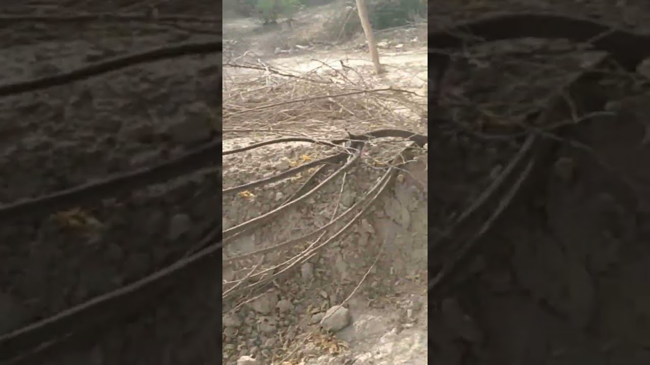 atik ahemad ki kabar kasari masari allahabad