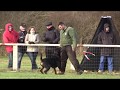 Nationale travail 2018 Rottweiler Irac