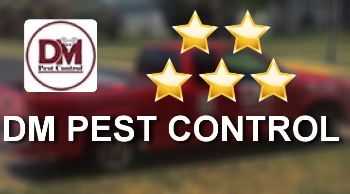 five star pest control yelp dm pest control round rock outstanding five star review by melanie z five star pest control yelp dm pest control round rock outstanding five star review by melanie z