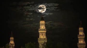 تلاوة من سورة السجدة للقارئ معاذ الدويك