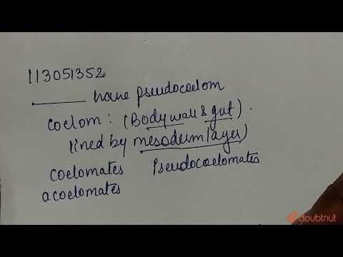 Βίντεο: Τι είναι το pseudocoelom class 9;