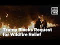 Trump Admin Reverses Course on CA Wildfire Relief | NowThis