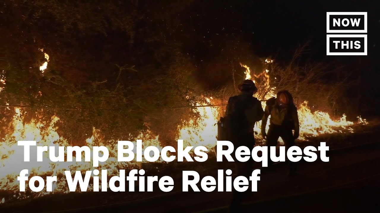 Trump Admin Reverses Course on CA Wildfire Relief | NowThis