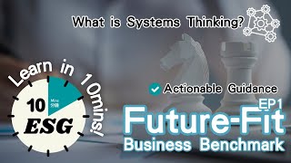 Future-Fit Business Benchmark: Redefining Corporate Sustainability with Systems Thinking
