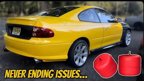 Gemma the GTO Gets DRAG BAGS!