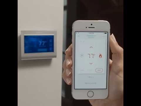 thermostat app wink