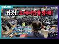 LIVE 생방송 만물도깨비경매장 日요일 현장경매 실시간생중계 2026 03 15 LIVE 생방송 만물도깨비경매장 日요일 현장경매 실시간생중계 2026 03 15