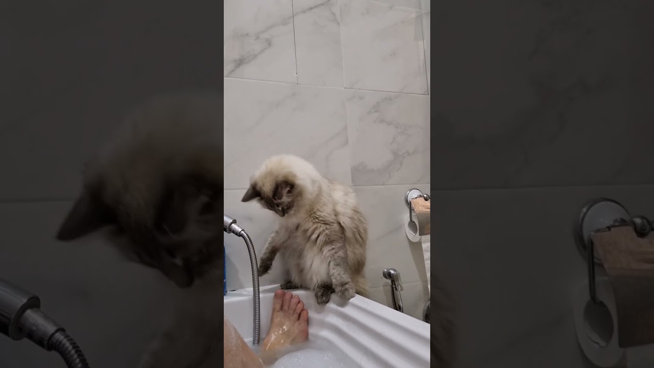 Водные процедуры😄 