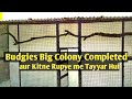 Budgies Parrots Colony Size| cost in Hindi Urdu