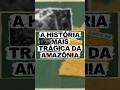 A HISTÓRIA TRÁGICA POR TRÁS DA LENDA DO URUTAU 🌿 #folclore #urutau #lendas
