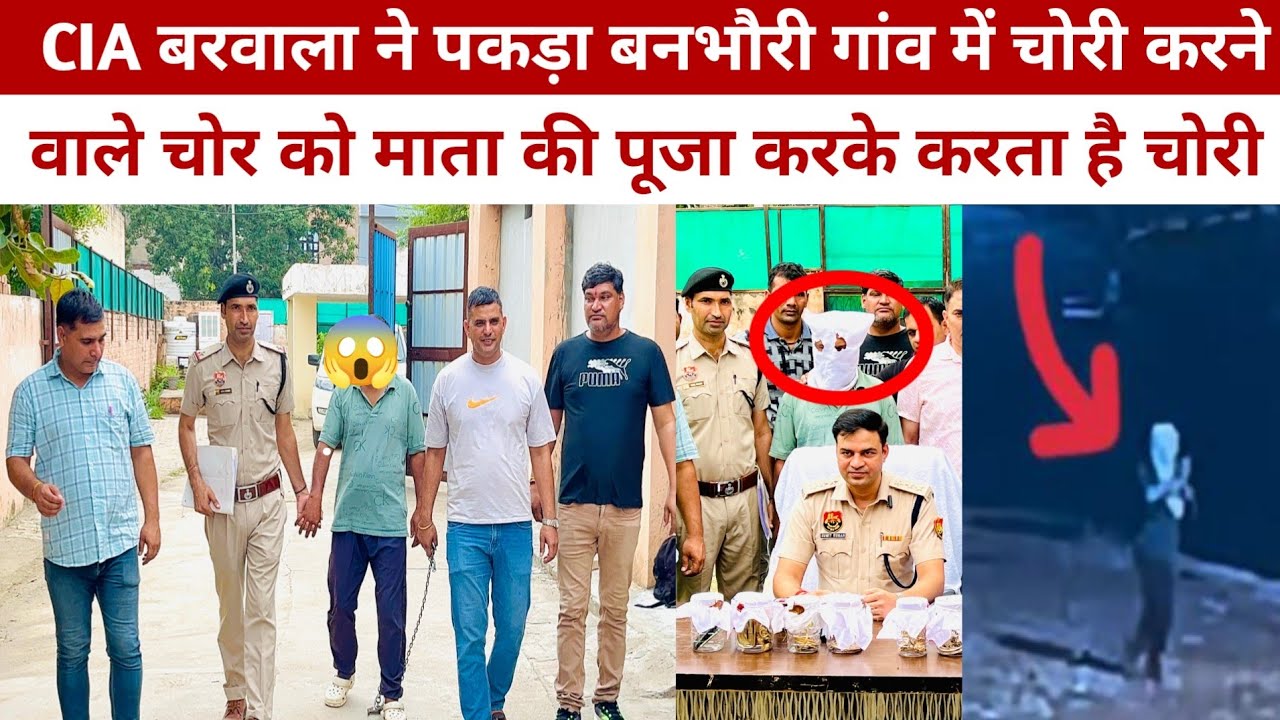 CIA बरवाला ने पकड़ा बनभौरी गांव में चोरी करने वाले चोर को माता की पूजा करके करता है चोरी