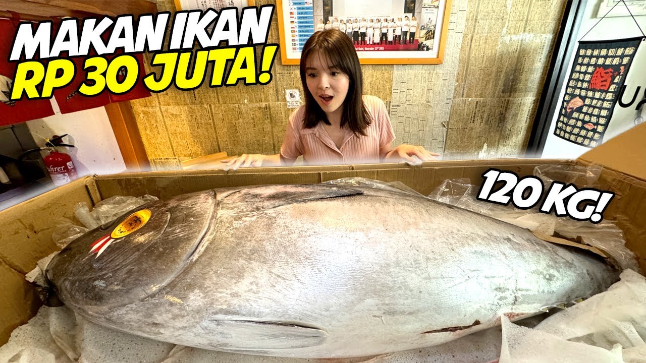 COBAIN IKAN SUSHI RAKSASA HARGA RP 30 JUTA !!