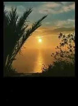 Story whatsaap ||aku minta maaf||