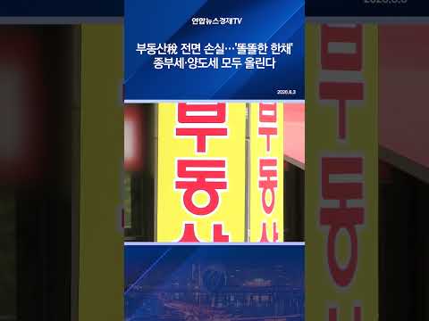 부동산稅 전면 손실…'똘똘한 한채' 종부세·양도세 모두 올린다