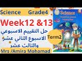  4 12 13 حل التقييم الاسبوعي الثاني عشر والثالث عشر ساينس رابعه إبتدائي ترم تاني