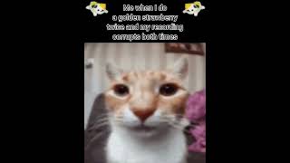 Certified Obs Moment