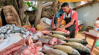 1,000lb Black Marlin! ⚔️ Cutting the "King of the Ocean" in Village Market