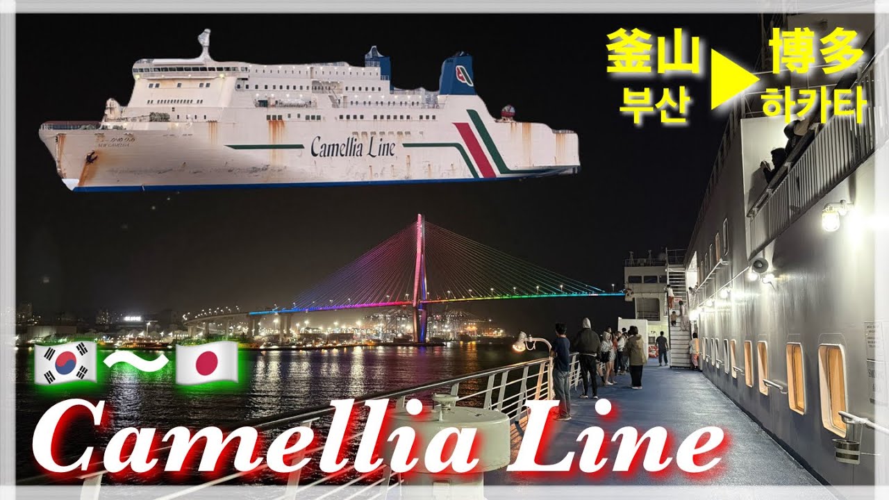 【最安の国際フェリーで日韓旅】ニューかめりあ 釜山〜福岡を繋ぐカメリアラインに乗船 感動の釜山の夜景 🇯🇵🇰🇷 2等雑魚寝部屋 レストランも展望風呂もある激安フェリー 船に乗る