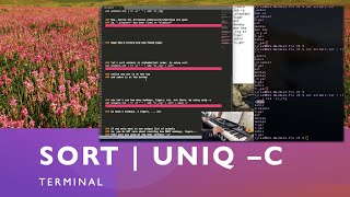 #Terminal | how to sort a list of words using sort & uniq | #datascience #linux