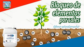 Bloqueo De Elementos Por Sales-Como Solucionarlo Arrasal Protecin