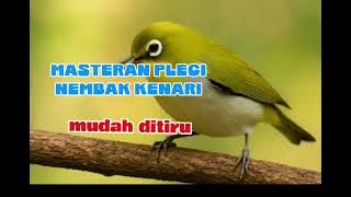 MASTERAN BURUNG PLECI ISIAN KENARI