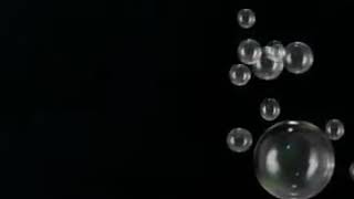 Nkauj Noog Hawj - Tsis Tos Hlub Thaum Laus (cover)