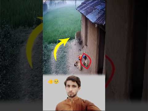 إذا كانت معونة الله معك فإن الضعيف يهزم القوي لايك اكسبلور 