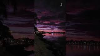 Which Picture Gibe You Dark Vibe