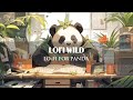 Lofi for panda   relax with panda   lofi chill  relaxing 