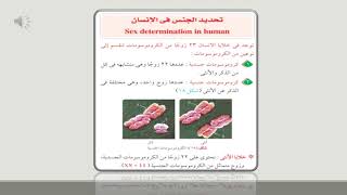 تحديد الجنس في الانسان - الباب الثالث - الفصل الثالث