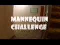 Манекен челлендж/Mannequin Challenge