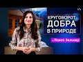 Спешите делать добро и отпускайте в мир! И оно вернётся?