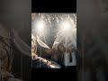 الشيخ الطبلاوي تلاوة رائعة لآية قالت نملة من سورة النمل اكسبلور القرآن الكريم لايك المصحف 