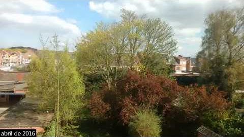 1 year time lapse from a window in Belgium
