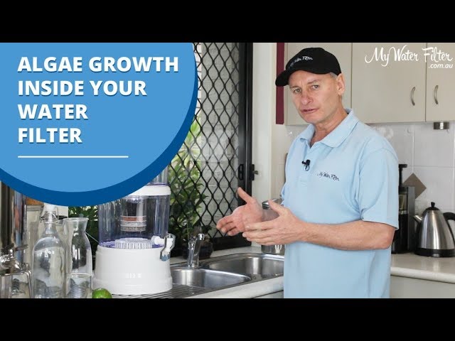 reverse osmosis system mold algae slime inside filter housing