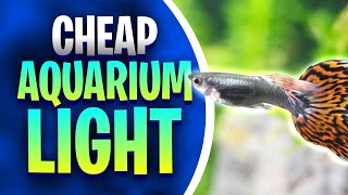 This Cheap Aquarium Light Will Transform Any Beginners Planted Tank! (Seaoura SR-616 Review)