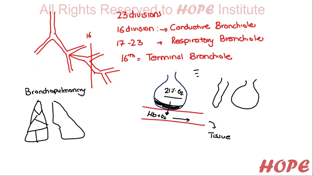 NMCLE Preparation Classes # Hope Institute: Live Lecture Video # COPD Asthma
