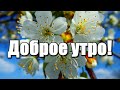 Доброе утро! И больше поводов для солнечных Улыбок! Открытка С Добрым утром